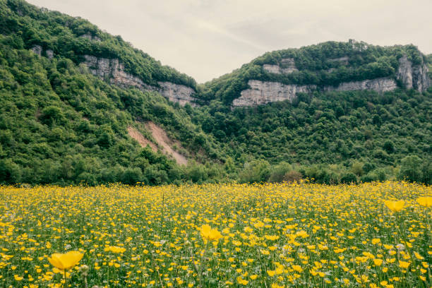 istock The cliffs of Bugey. 682339782
