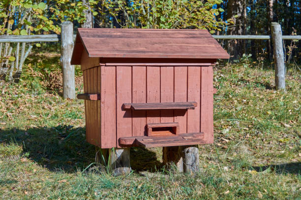 istock The old wooden beehive 682342558