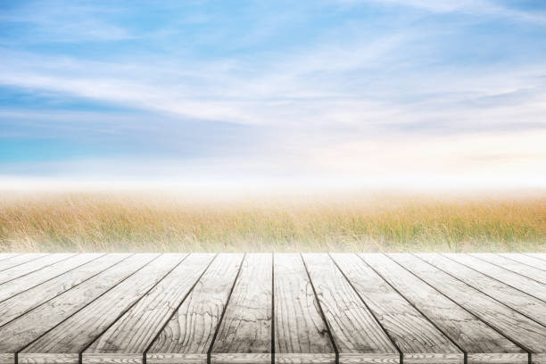 istock Wood table top with grass natural and blue skies background. 682343020