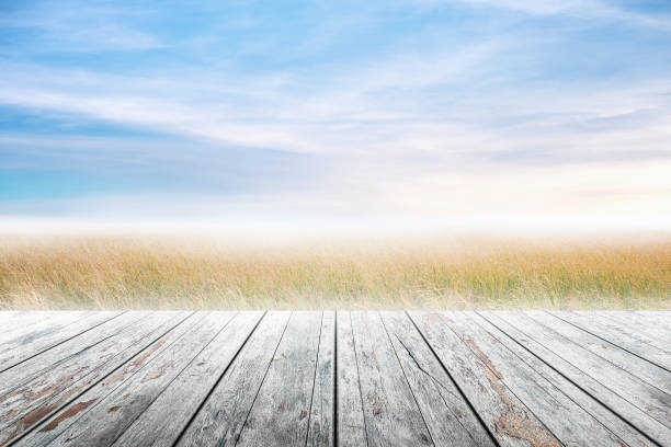 istock Wood table top with grass natural and blue skies background. 682343094