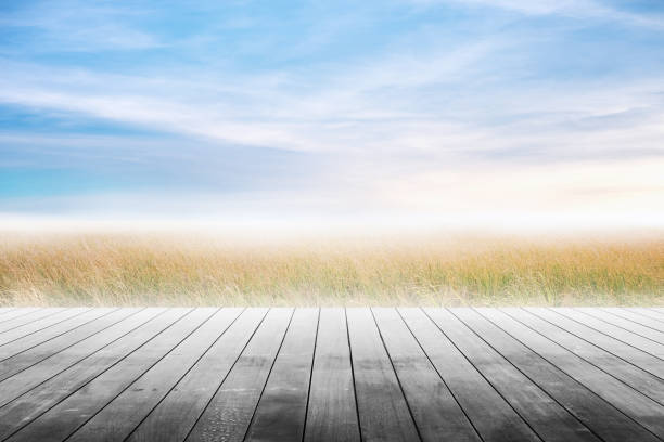 istock Wood table top with grass natural and blue skies background. 682343248
