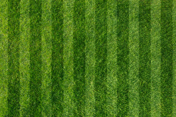 istock Football field 682348438