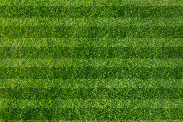 istock Football field 682349380