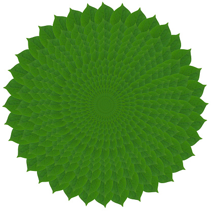 Pattern from green abstract circles from leaves
