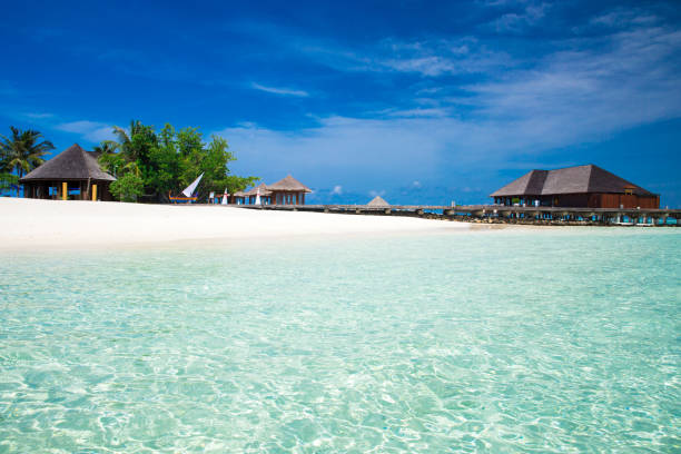 istock sea in Maldives 682371378