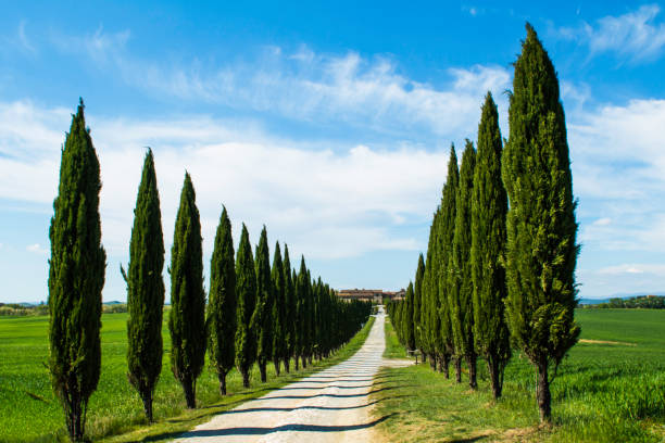 istock lake among the hills 682376992