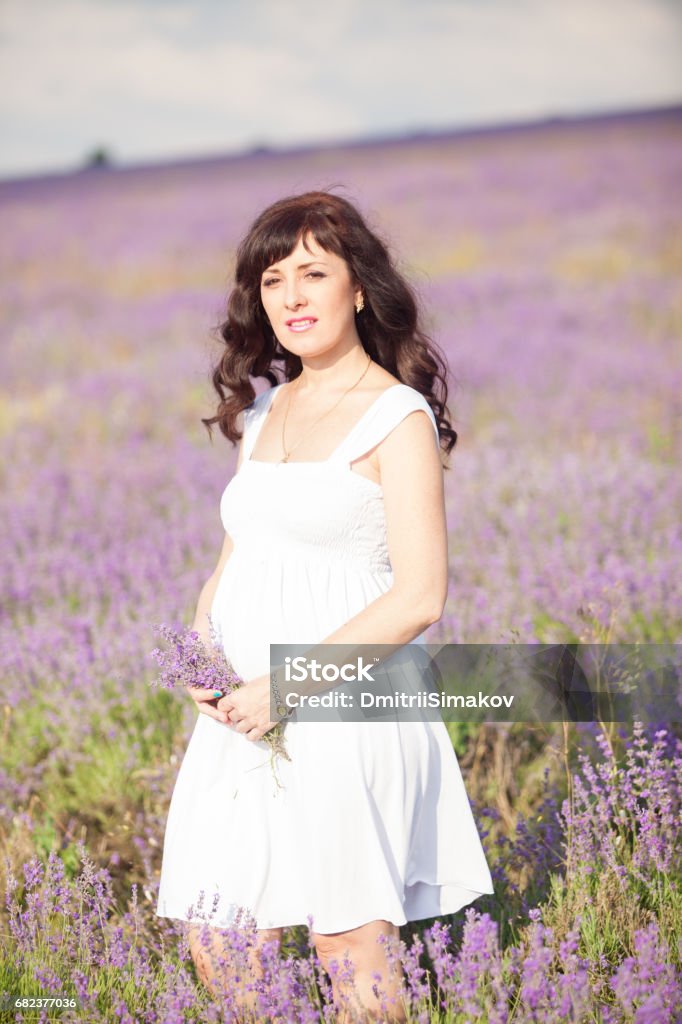 une femme enceinte dans un champ de fleurs de mauve lavande - Photo de Bière blonde libre de droits