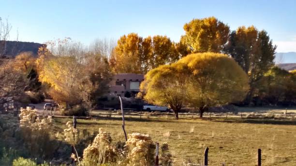 istock Fall colors and Globe Willow in fall pastures along Grafton Road in Rockville Utah 682377314