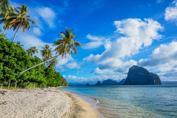 istock Tropical beach and sea 682377526