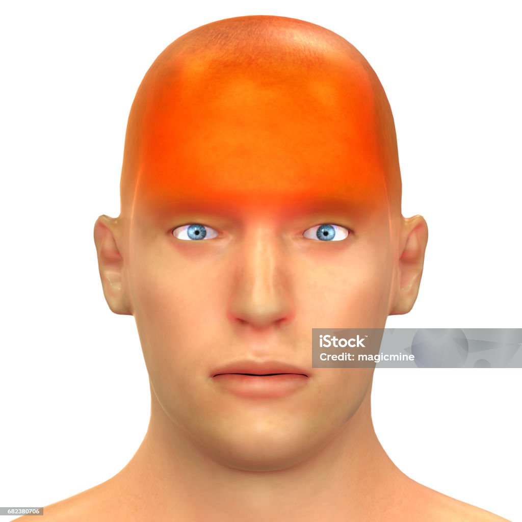 Kepala Dinas Kesehatan TTS: Malaria Masih Menghantui Kabupaten Timor Tengah Selatan