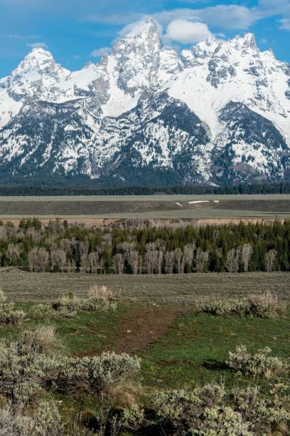 istock Jackson Hole, Grand Teton National Park 682394606