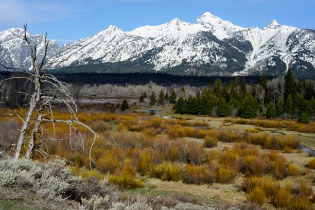 istock Jackson Hole, Grand Teton National Park 682395654