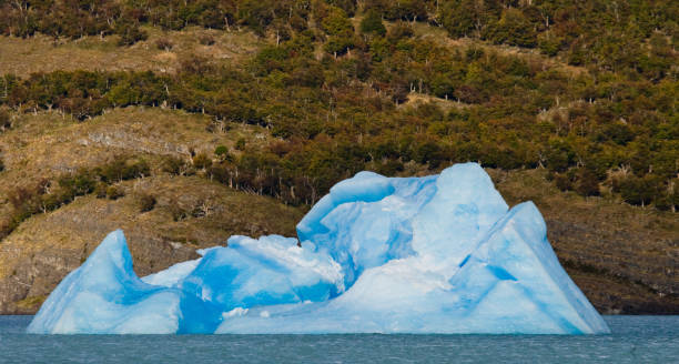 istock Icebergs in the water, the glacier Perito Moreno. 682396112