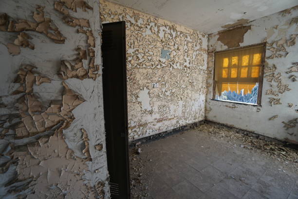istock Mansions, Abandoned Asylums, Abandoned Churches, Abandoned Schools, Abandoned Places 682398986