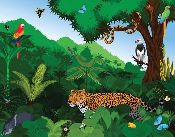 regenwald mit tieren-vektor-illustration. vector green tropical forest dschungel mit papageien, jaguar, tapir, peccary, harpyie, affe, motmot, anakonda und schmetterlinge. - sägeracke stock-grafiken, -clipart, -cartoons und -symbole