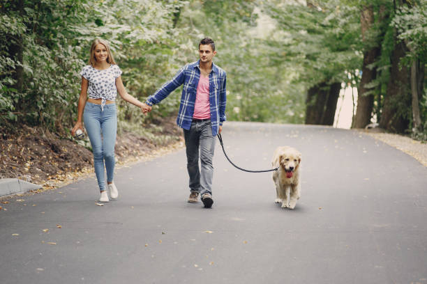 istock couple walking outdoors with her dog 682402108