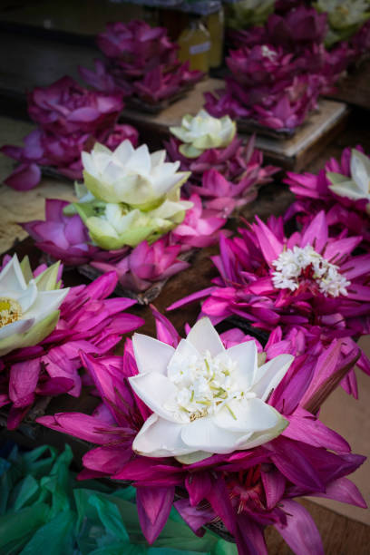 colorful lotus flowers on a stall at the entrance to the  Buddha's temple