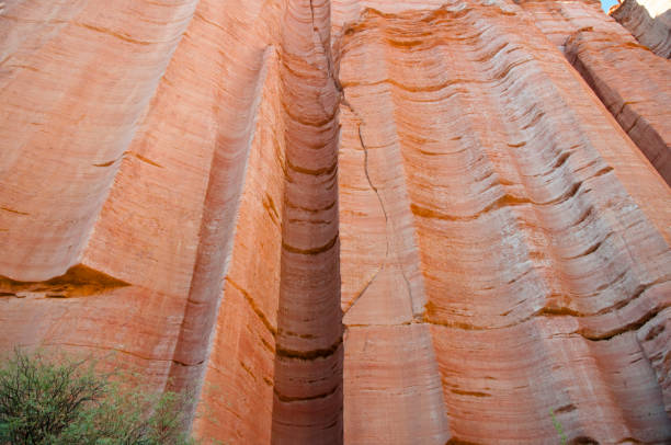 チムニー岩の形成 - タランパジャ国立公園 - アルゼンチン - echo canyon ストックフォトと画像