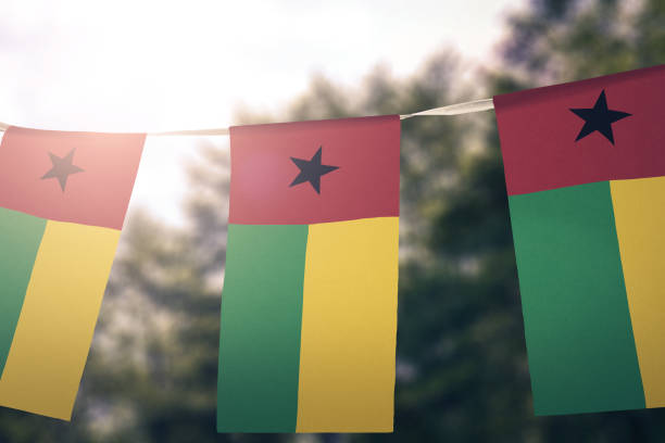bandera de guinea-bisáu - guinea bissau flag fotografías e imágenes de stock