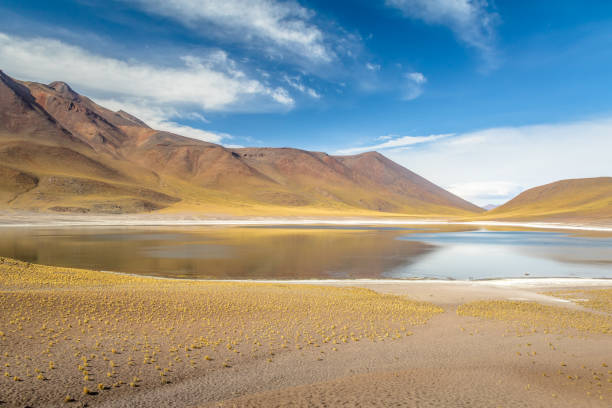 istock Miniques Lagoon and Volcano - Atacama Desert, Chile 682416084