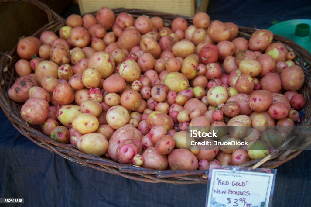 Red gold new potatoes at the farmer's market A basket of Red gold new potatoes at the farmer's market Agricultural Fair Stock Photo