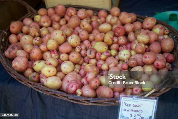 Red Gold New Potatoes At The Farmers Market Stock Photo - Download Image Now - Agricultural Fair, Basket, Color Image