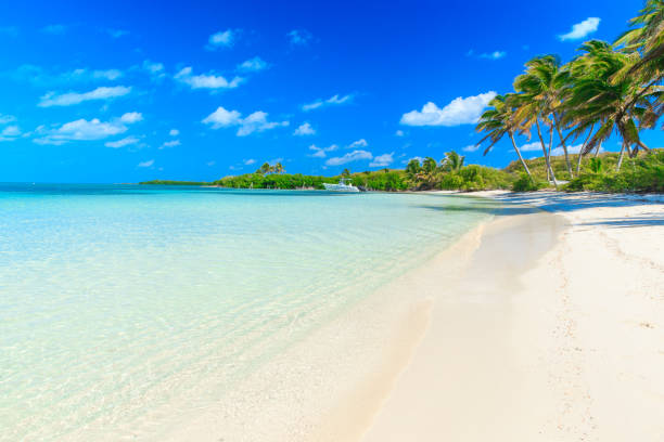 istock beautiful tropical sea 682416772