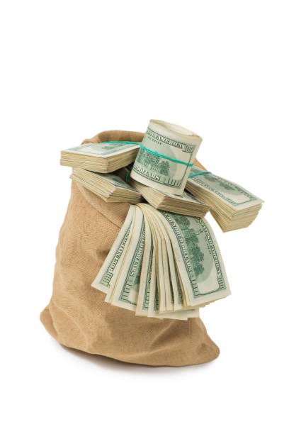 istock Money in the bag isolated on a white background 682423742