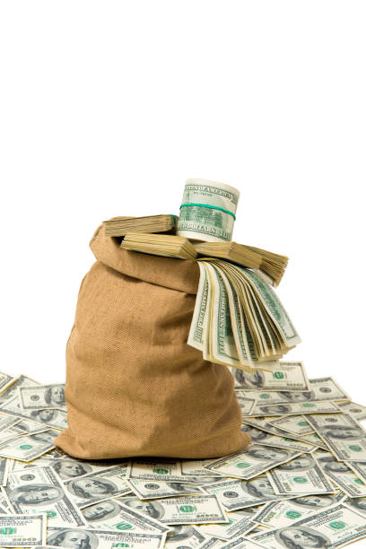 istock Money in the bag isolated on a white background 682423816