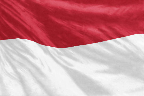 istock Flag of Indonesia 682424068