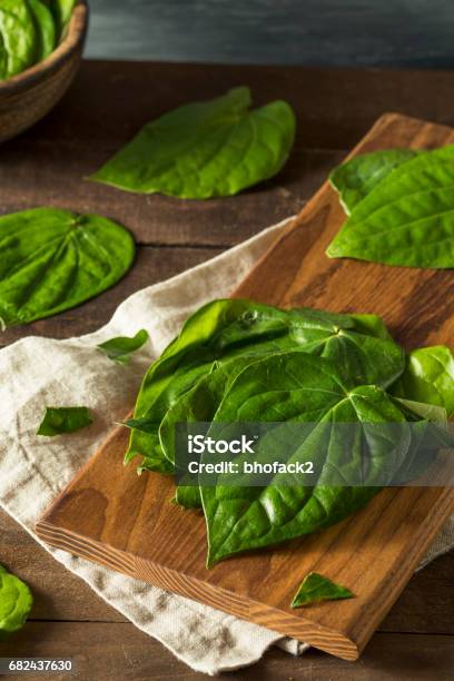 Raw Organic Green Pan Leaves Stock Photo - Download Image Now - Leaf, Appetizer, Asia