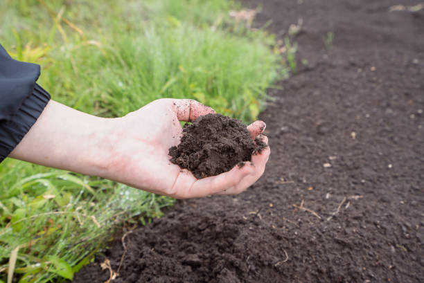 Woman grabbing soil Woman grabbing soil. soil tester stock pictures, royalty-free photos & images