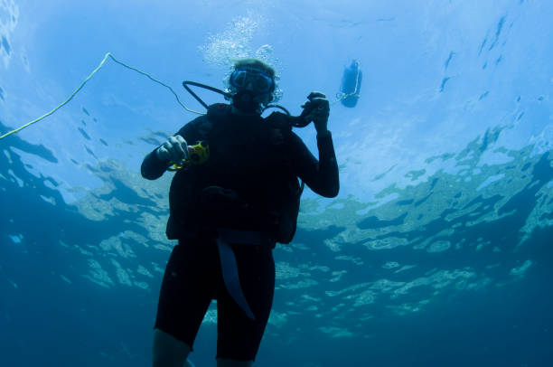 istock Scuba Diver Descending from Surface holding LPI Beginning Dive 682444278