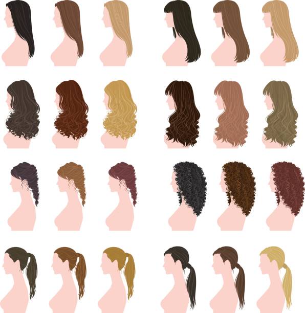 frisur der frau - hairstyle long hair curly hair women stock-grafiken, -clipart, -cartoons und -symbole