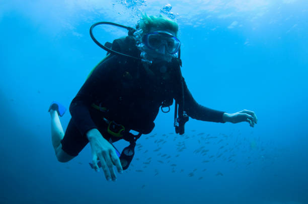 istock Female scuba diver up close with plain blue background and small fish behind well manicured nails in proper form with LPI hose disconnected 682445162