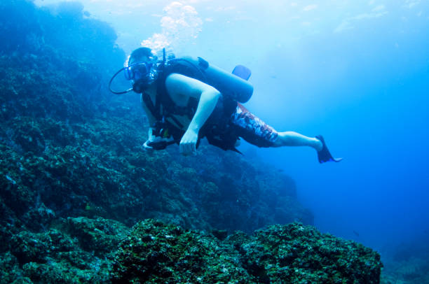 istock male scuba diver looking at camera over rocky area with bubbles 682452166