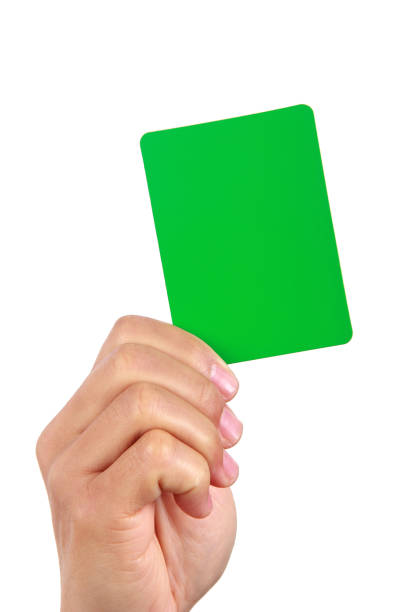 istock Hand holding green card 682458776
