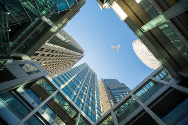 istock White dove fly over office buildings 682460840