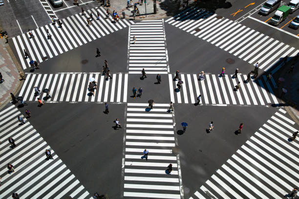 istock Look at the crosswalk of the scrambled intersection from above 682460862