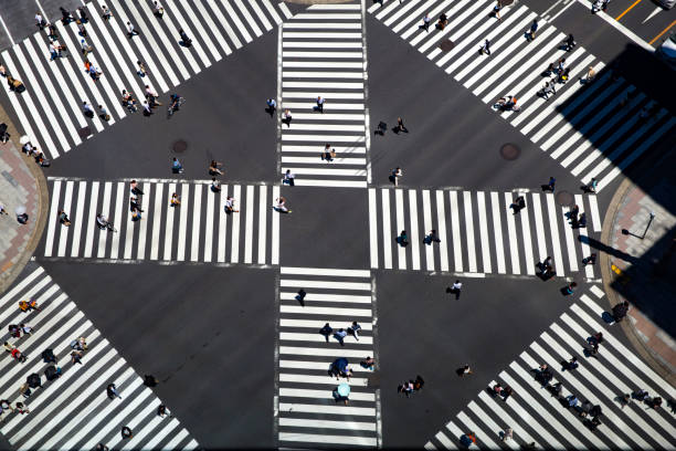 istock Look at the crosswalk of the scrambled intersection from above 682460912
