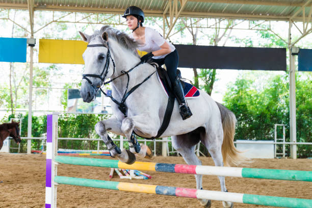 Side view of dressage horse in harness with female rider jockey in helmet and white uniform during jumping competition