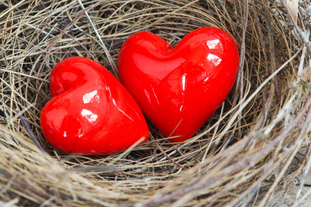 istock red hearts in a bird nest 682471560