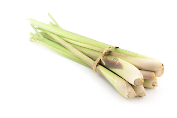istock Fresh Lemongrass isolated on white background 682474128