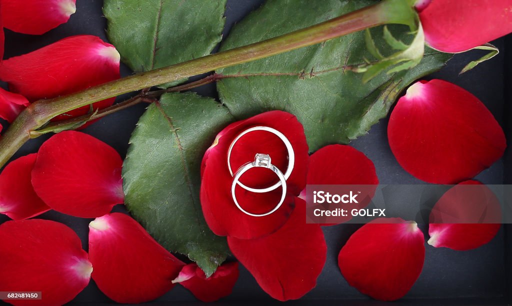 Anillos de boda en pétalos de rojo color de rosa sobre fondo negro. - Foto de stock de Abstracto libre de derechos