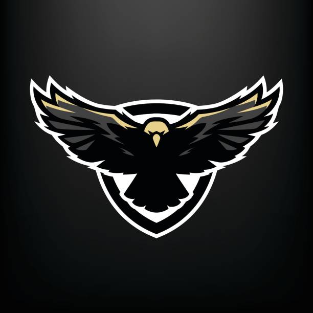 Eagle in flight, icon , symbol. Eagle in flight, icon , symbol. falcon bird stock illustrations