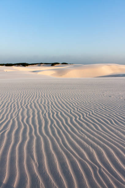 istock Rensois Maranhies National Park 682488572