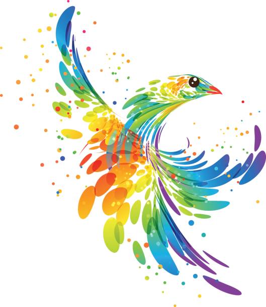 Splash fantasy bird Fantasy stylized colorful bird multi colored background illustrations stock illustrations