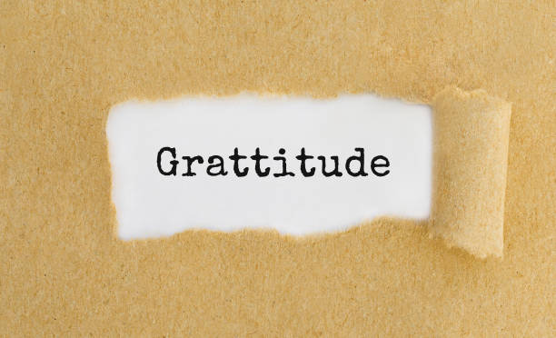 istock Text Grattitude appearing behind ripped brown paper. 682505014