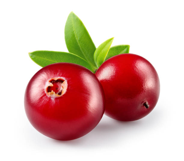 Cranberry with leaves isolated on white. With clipping path. Full depth of field. Cranberry with leaves isolated on white. With clipping path. Full depth of field. cranberry stock pictures, royalty-free photos & images