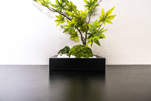 istock Foliage plant in the office 682515770